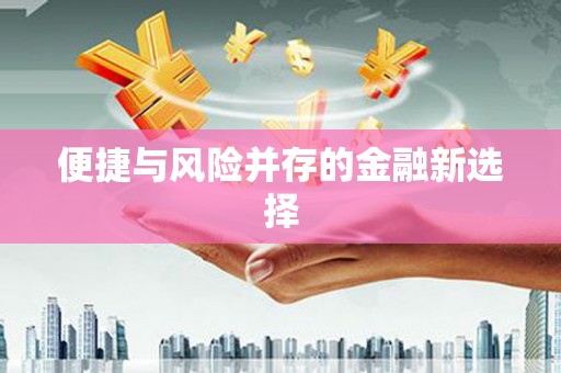 公馆便捷与风险并存的金融新选择