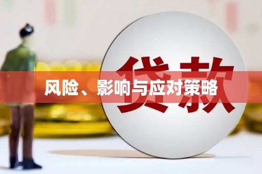公馆风险、影响与应对策略