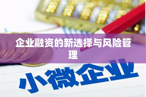 公馆企业融资的新选择与风险管理