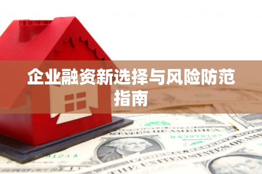 公馆企业融资新选择与风险防范指南