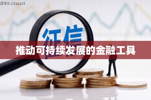 公馆推动可持续发展的金融工具