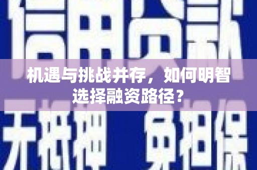 公馆机遇与挑战并存，如何明智选择融资路径？