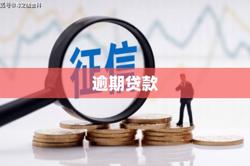 公馆逾期贷款