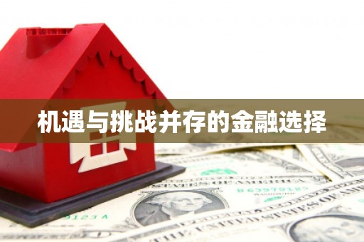 公馆机遇与挑战并存的金融选择