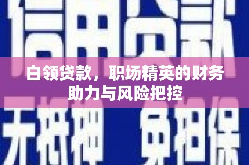 公馆白领贷款，职场精英的财务助力与风险把控